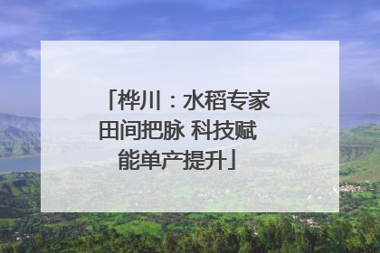 桦川：水稻专家田间把脉 科技赋能单产提升
